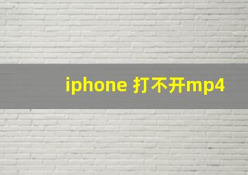 iphone 打不开mp4